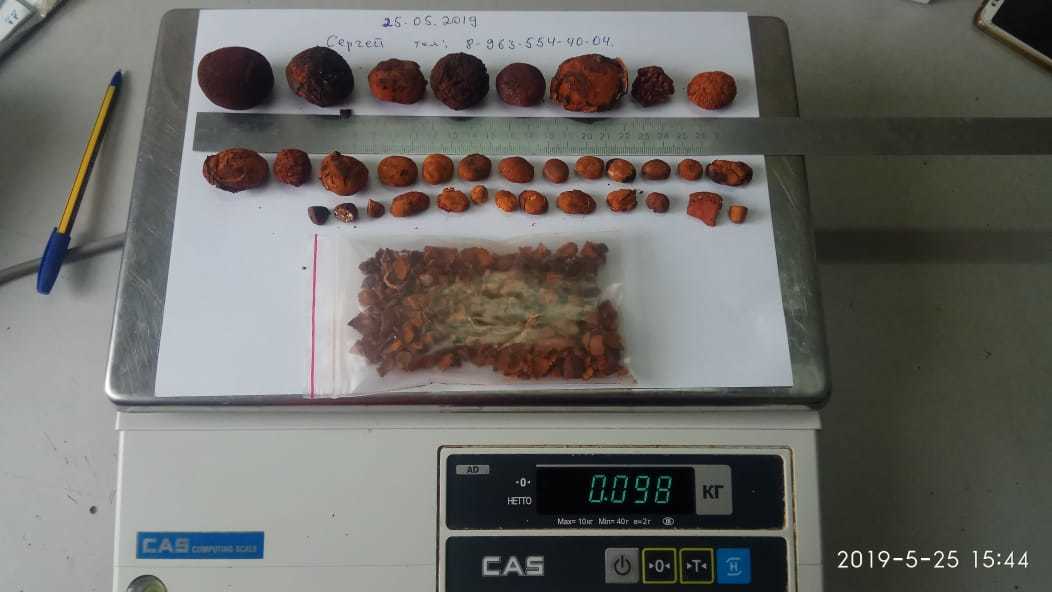 gallstones.ru