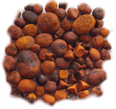1 сорт. gallstones.ru